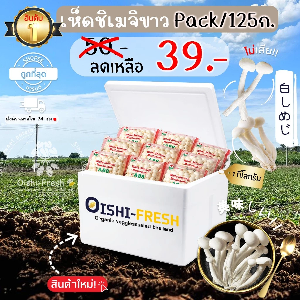 🛒Oishi-Fresh🍄เห็ดชิเมจิขาว ปลอดสารพิษ 1 แพ็ค รสชาติกรอบ สด ใหม่ ใยอาหารสูง หวานออร์แกนิค ผัก เคลมได้ 1-2 วัน