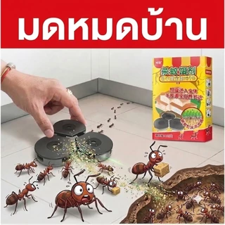 🔥มดตายยกรัง🔥ยาฆ่ามด ยาฆ่ามดตายยกรัง ล่อกินกลับรัง ลดปัญหามด มดแดง มดดำ ใช้ง่าย 6 ชิ้น ใช้งานง่าย ใช้ได้ทั่วบ้าน