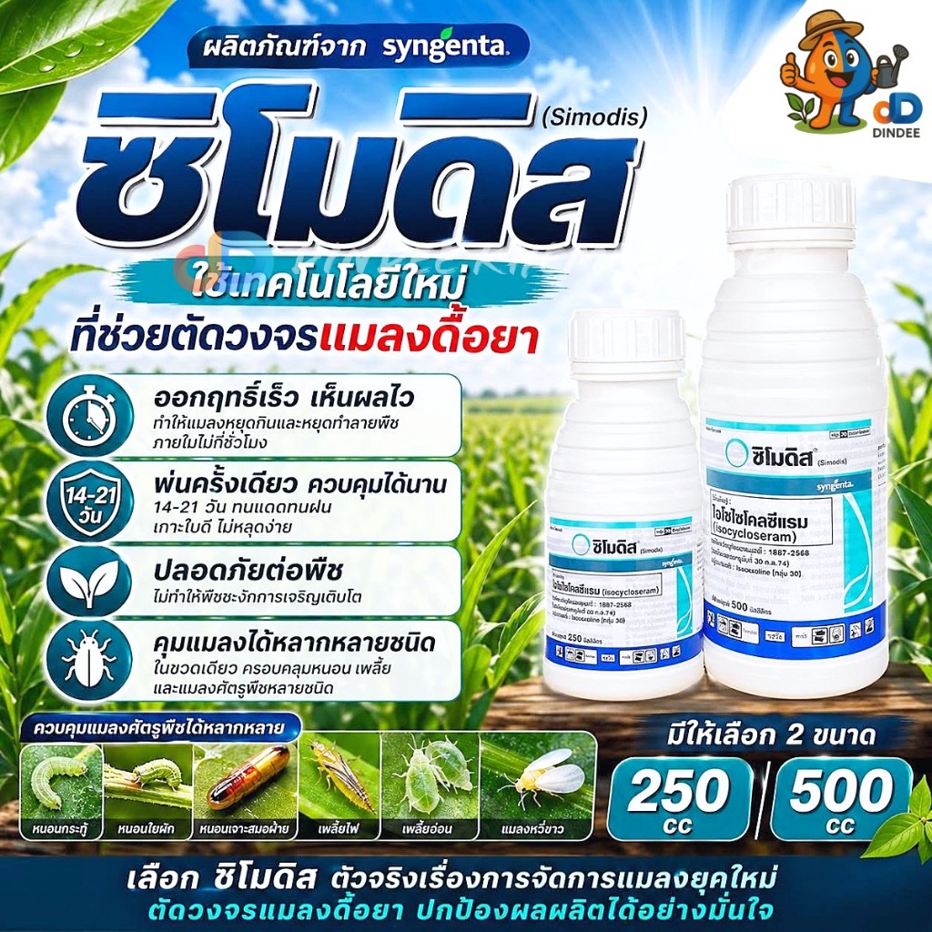 ซิโมดิส : ไอโซไซโคลเซอแรม (Isocycloseram) ขนาด 500 ซีซี “หยุดแมลงดื้อยา” ป้องกันยาวนาน พ่นครั้งเดียว ออกฤทธิ์ 21 วัน !!