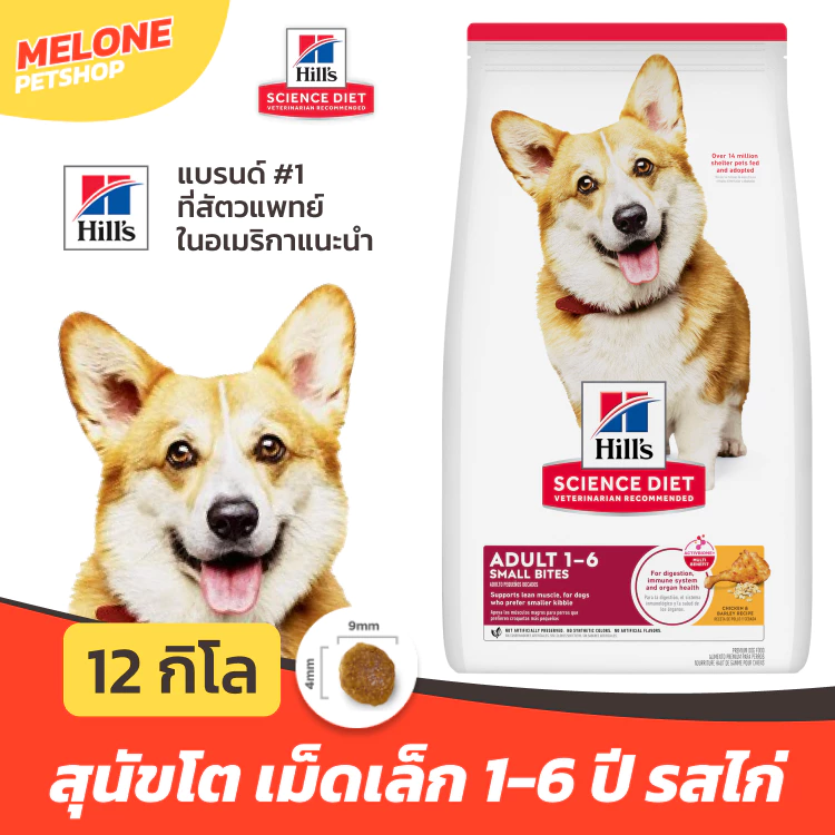 [ล็อตใหม่] Hill's Science Diet Adult Small Bites อาหารสุนัข ฮิลส์ สุนัขโต หมา เม็ดเล็ก อายุ 1-6 ปี กระสอบ 12 kg