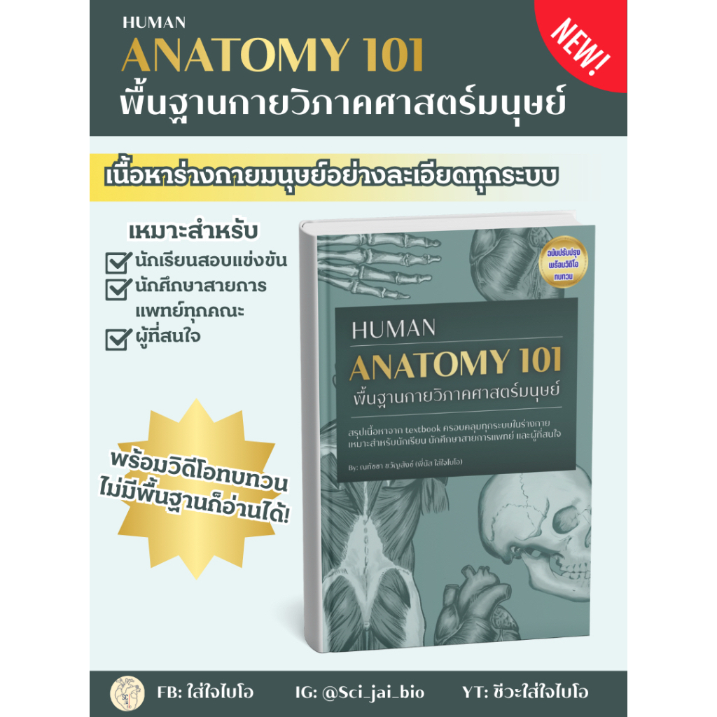 NEW! หนังสือกายวิภาคศาสตร์มนุษย์ [Basic human anatomy] ฉบับปรับปรุง