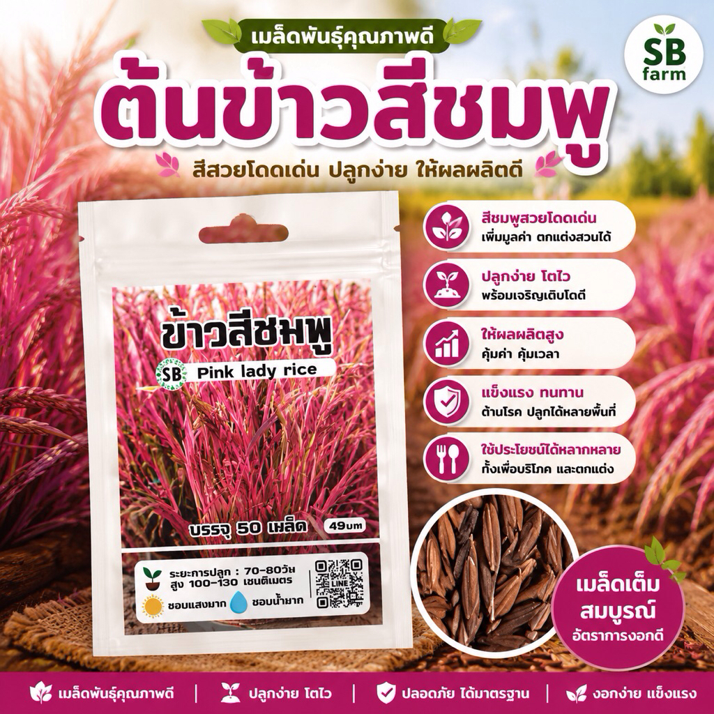 เมล็ดข้าวสีชมพู (Pink Laday Rice)  [45-50 เมล็ด/ซอง]  // SBfarm