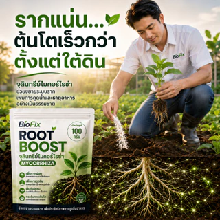 BioFix Root Boost จุลินทรีย์ไมคอร์ไรซ่า (Mycorrhiza) สูตรเข้มข้น เร่งราก ฟื้นต้น ดูดซึมดี ไมคอร์ไรซ่า 100 g.