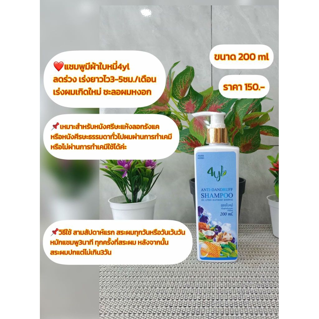 มินิแชมพูลดผมร่วง 4ylแชมพูสีฟ้าใบหมี่ขนาด 200 ml รูปที่ 3