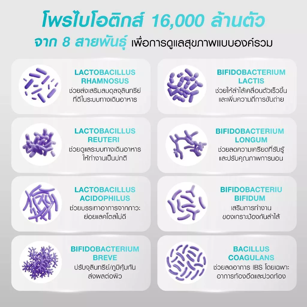 Bomi 16.8 Balance Probiotics (14 x 3g)โบมิ โพรไบโอติกส์ พร้อมทาน จุลินทรีย์ดีเพื่อลำไส้ที่สมดุล thumbnail 5