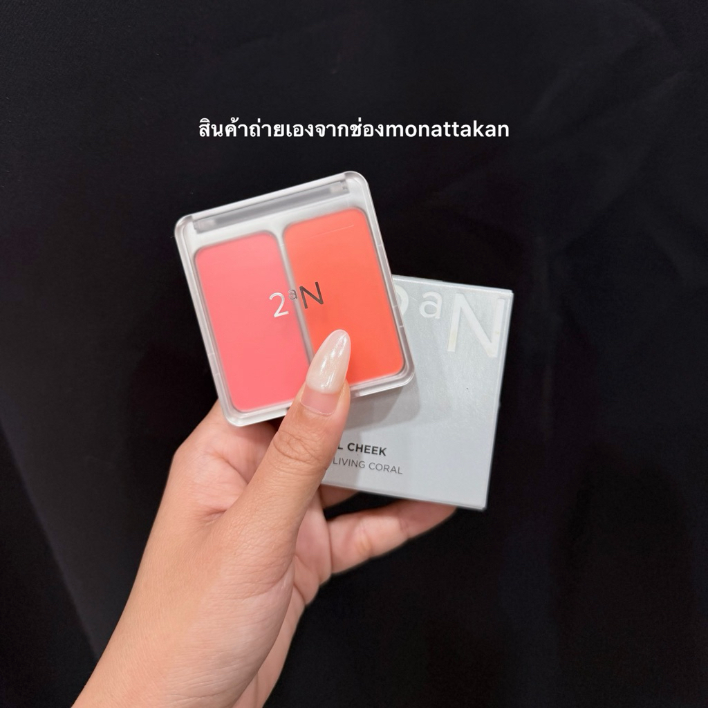 2aN DUAL CHEEK 9 g. บลัชออนทูโทน