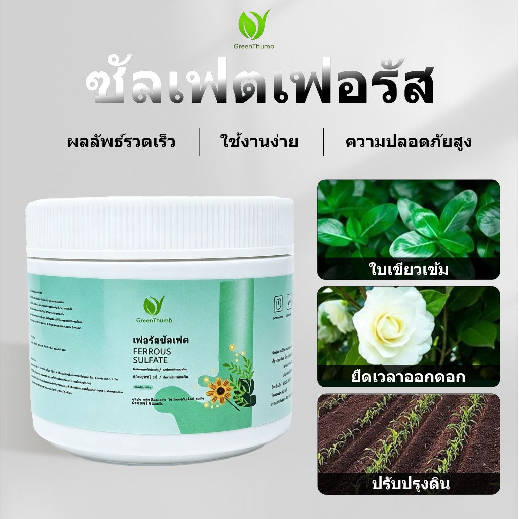 【GreenThumb】ปุ๋ย เหล็กซัลเฟต เฟอรัสซัลเฟต 250g ป้องกันโรคเหลือง ปรับสมดุลความเป็นกรดของดิน เพิ่มปริมาณธาตุเหล็กในพืช