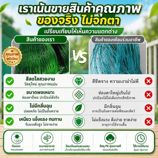 ตาข่ายล้อมไก่ 2x100M ตาข่ายกันนก ตาข่ายพลาสติกเกษตร กันนก กันไก่ ทำรั้วสวน แข็งแรง ทนแดด ตาข่ายล้อมสวน