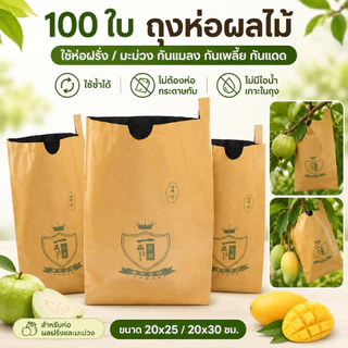 ถุงกระดาษคาร์บอนห่อผลไม้ ชุนฟง ขนาด 100 ใบ ถุงห่อมะม่วง ถุงคาร์บอน ทีเอบี ป้องกันแมลงวันทอง