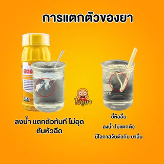 สตอปเปอร์ Stopper สารเสริมประสิทธิภาพพืช สูตรยับยั้งการลอกคราบ คุมไข่แมลง ตัดวงจรการระบาด ช่วยให้ใบเงางาม (500ml / 1L)
