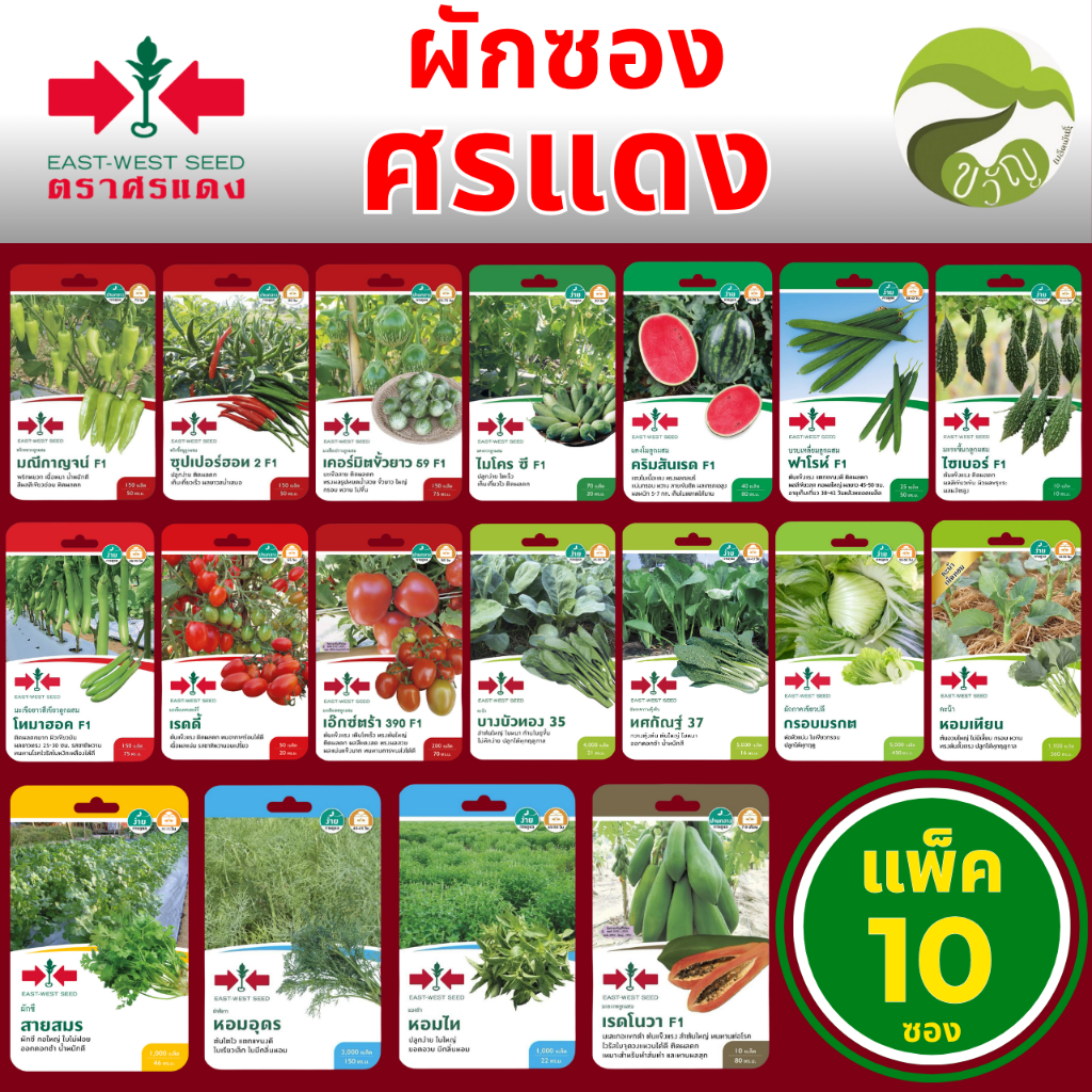 ผักซองศรแดง เมล็ดพันธุ์ ตราศรแดง ยกแพ็ค 10 ซอง ราคาเดียว ราคาส่ง สุดคุ้ม