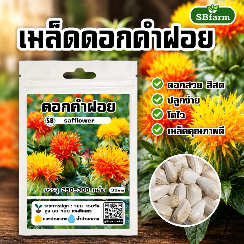เมล็ดดอกคำฝอย [250-300เมล็ด/ซอง] 🔥โปรโมชั่น [ซื้อ 2แถม 1ซอง]