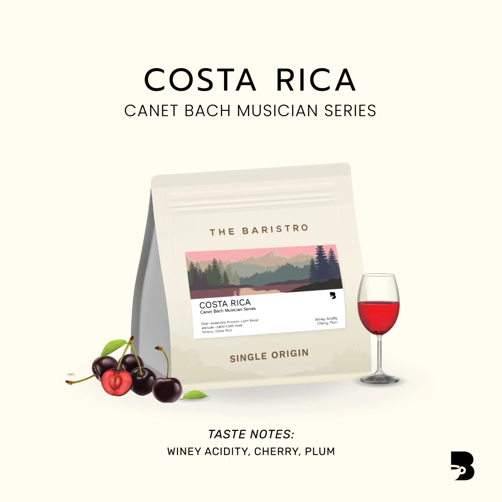 เมล็ดกาแฟ คั่วอ่อน - Costa Rica Canet Bach Musician Series