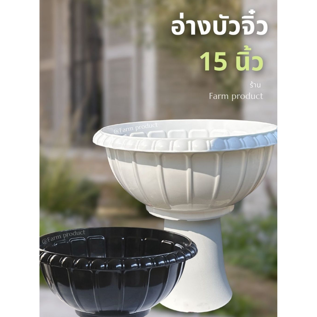 อ่างบัวจิ๋ว, อ่างเลี้ยงปลา 15 นิ้ว. ใหม่ พร้อมส่ง