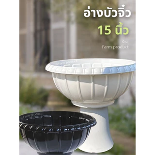 อ่างบัวจิ๋ว, อ่างเลี้ยงปลา 15 นิ้ว. ใหม่ พร้อมส่ง
