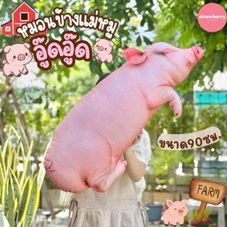 หมอนข้างหมู ตุ๊กตาหมู หมอนหมู หมอนข้างหมูตัวใหญ่ 90ซม