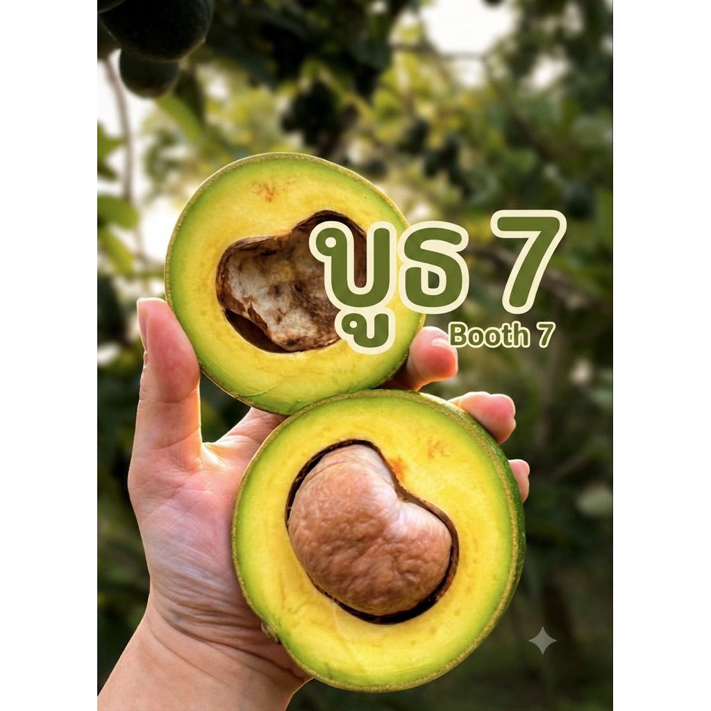 อโวคาโดพันธุ์บูท 7(Booth 7)( 1 กิโลกรัม ) เนื้อเนียนนุ่ม ไม่เละง่าย หนึบ ครีมมี่(ผลไม้ชั่งรวมกล่อง) 3-6 ลูกโล