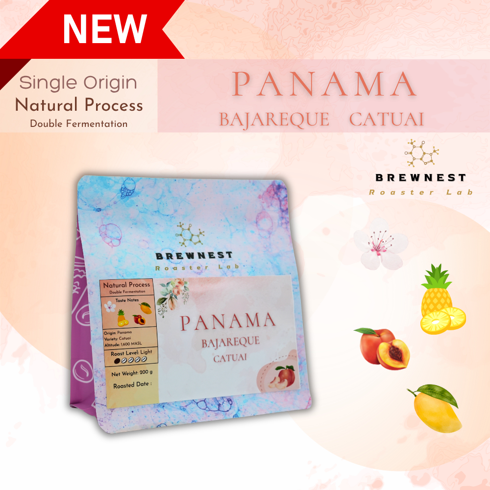 เมล็ดกาแฟคั่วอ่อน Panama Bajareque Catuai Double Fermentation Natural - Floral Pineapple Peach - BREWNEST Roaster Lab
