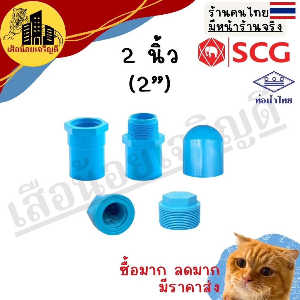 ข้อต่อ PVC ข้อต่อท่อ PVC พีวีซี 2นิ้ว ตราSCG ช้าง ตราท่อน้ำไทย ต่อตรง เกลียวใน เกลียวนอก ฝาครอบ ฝาปิดท่อ เกลียวใน เกลียว