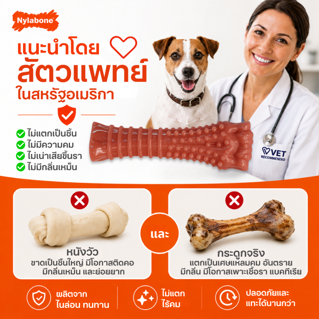 Nylabone عظمة مضغ Power Chew ‏Textured Knuckle — صنع في أمريكا — صورة 4