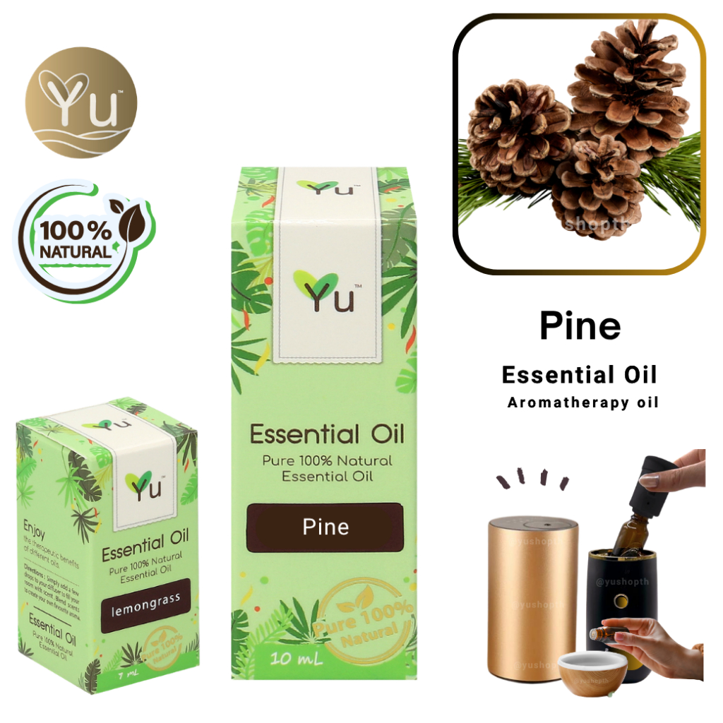 100% Pure Pine Essential Oil กลิ่นสน | น้ำมันหอมระเหย กลิ่นสกัดจากธรรมชาติ 100% | 7-30 ml.