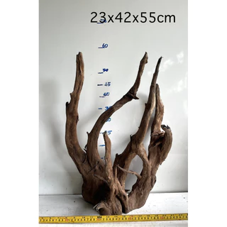 ไม้จมแม่น้ำ เนื้อเเข็ง เนื้อแน่น และสวยงาม driftwood display