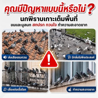 【ส่องสว่างได้ไกล 80000เมตร】เลเซอร์ ไล่นกได้ผล100% เลเซอร์แรงสูง แบตความจุใหญ่6800mAh เลเซอร์ไล่นกพิราบ กันน้ำได้ดีเยี่ยม