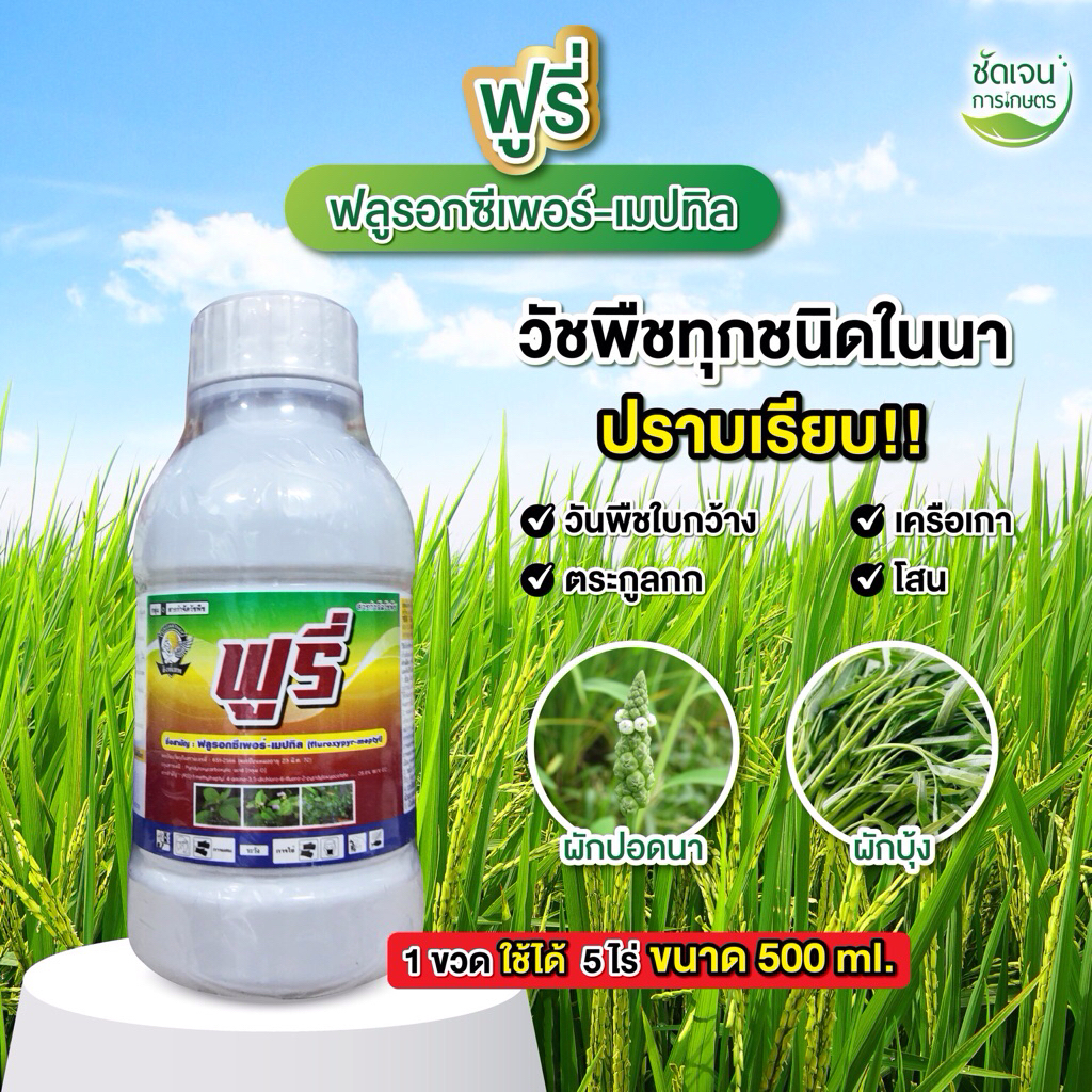 ฟูรี่ (ฟลูรอกซีเพอร์-เมปทิล) กำจัดวัชพืช ใบกว้าง กก เถาเลื้อยชนิดปราบยากทุกชนิด ใช้ในข้าวโพด ไร่อ้อย นาข้าว ปาล์มน้ำมัน