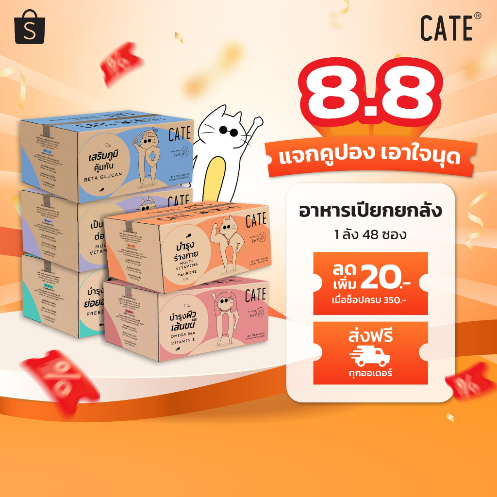 (ยกลังสุดคุ้ม) CATE Wet Food เคท อาหารเปียกแมว 5 สูตร บำรุงร่างกาย ไม่เติมเกลือ ไม่ทำร้ายไต (ยกลัง 48 ซอง)