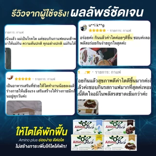อะมิโน พลัส Amino Plus ปรับสมดุลภูมิคุ้มกัน ป่วยง่าย ภูมิแพ้ ต้านป่วย เสริมเกราะร่างกาย