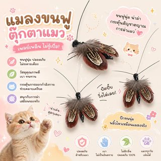 แมลงด้วงล่อแมว ของเล่นแมวแมลงสาบขนนก 5 ซม. ตุ๊กตาแมวขนาดเล็ก น้ำหนักเบา