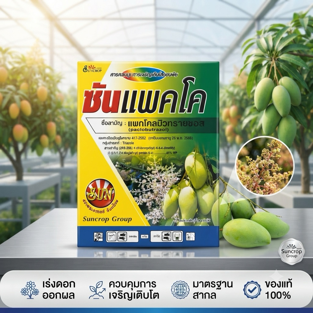 สารราดมะม่วงบังคับให้ออกดอก(แพกโคลบิวทราซอล) 15%