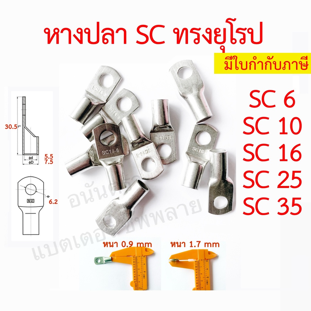 หางปลา ทรงยุโรป หนา ทองแดงชุบดีบุก SC 6-6 6-8 10-6 10-8 16-6 16-8 25-8 35-8