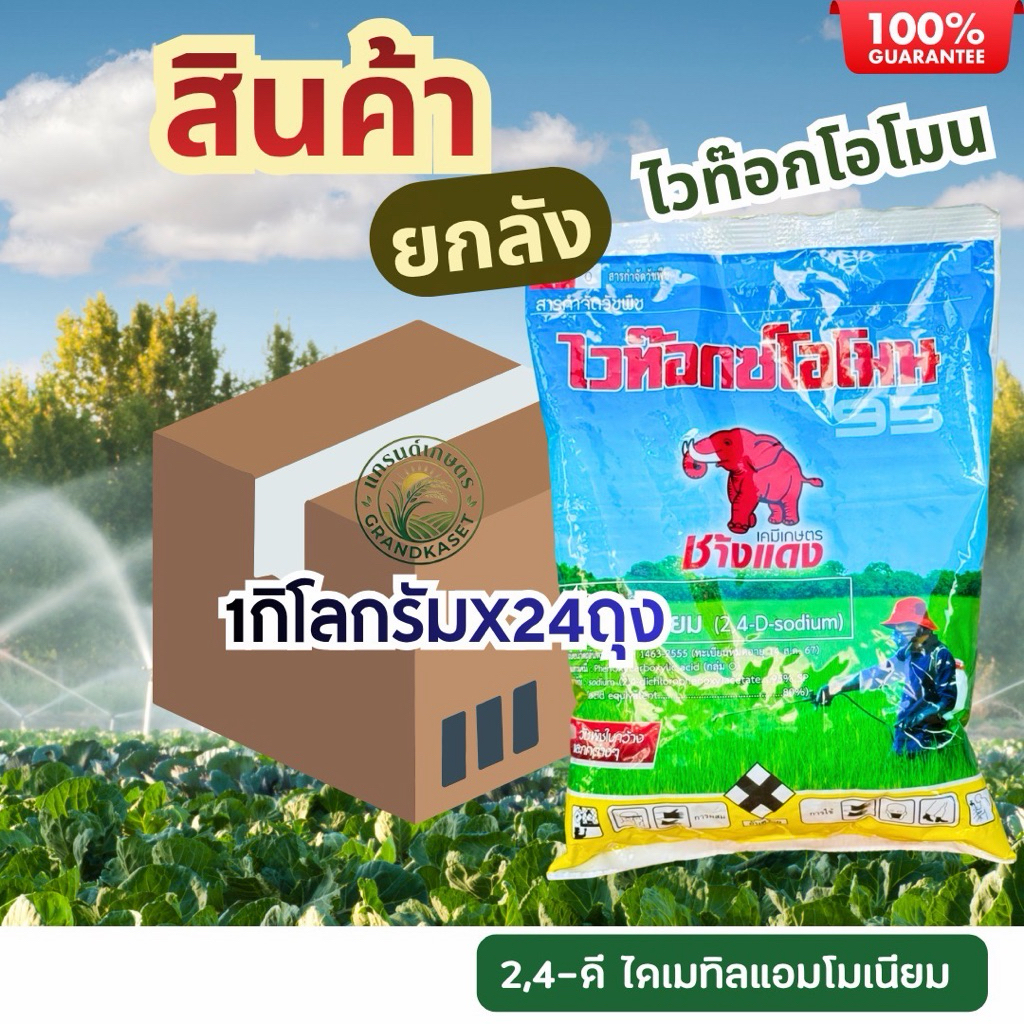 (ยกลัง24กก.)ไวท๊อกโอโมน 2,4d ช้างแดงผง กำจัดผักบุ้ง ไมยราบ กก ใบกว้าง โสน