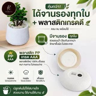 กระถางต้นไม้ เบลล่า มินิมอล 5 7 9 นิ้ว ขายส่งยกโหล พลาสติก PP เกรด AAA