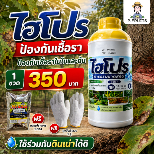 ดินเน่า [ไฮโปร ป้องกันเชื้อรา] ฟรีปราบมาร1ซอง ถุงมือทำสวน1คู่ สำหรับพืชดูแลใบ ลำต้น ระบบน้ำ ท่อ และบริเวณราก