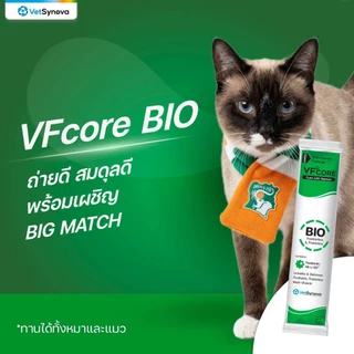 ( 30 ซอง ) VFcore ขนมแมวเลีย อาหารเสริมแมว ไลซีน, บำรุงเลือด, บำรุงข้อต่อ บำรุงร่างกาย ( 30 ซอง )