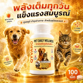 วิตามินเสริมภูมิสุนัข แมว QYVARO เสริมภูมิคุ้มกัน ไม่ป่วยง่าย ให้กลับมาแข็งแรงและกินเก่ง