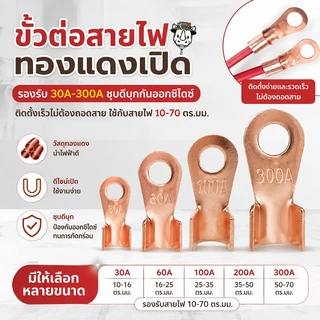 🔥 ซื้อเยอะ ยิ่งคุ้ม ส่งด่วนจากไทย SC หางปลาทองแดง ขนาด 20-500 แอมป์ ขั้วต่อทองแดง, ทองแดงบริสุทธิ์แท้ ตัวเชื่อม