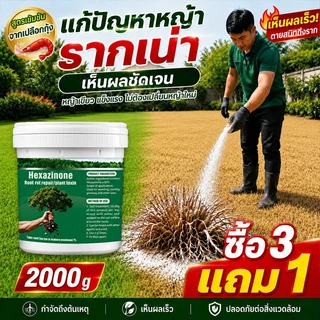 💥100% รากไม้เน่า💥ยาฆ่าต้นไม้ใหญ รากเน่ารากไม่ขึ้นอีก 500g สารกำจัดกอไผ่ ผงกำจัดต้นไผ่ ยาฆ่าตอไม้ กำจัดวัชพืชรากเน่า