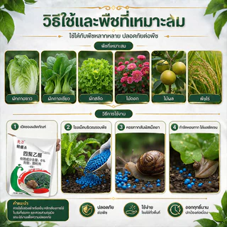 🔥รุ่นยอดฮิต กำจัดหอย 500g สลายตัวเร็วจึงทำให้ไม่มีสารพิษตกค้างในพืชและสภาพแวดล้อม ยาฆ่าหอย เหยื่อกำจัดหอย ยาฆ่าหอยทาก