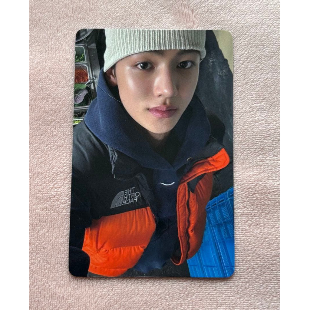 ดีล การ์ด 🇯🇵 CORTIS  musicart