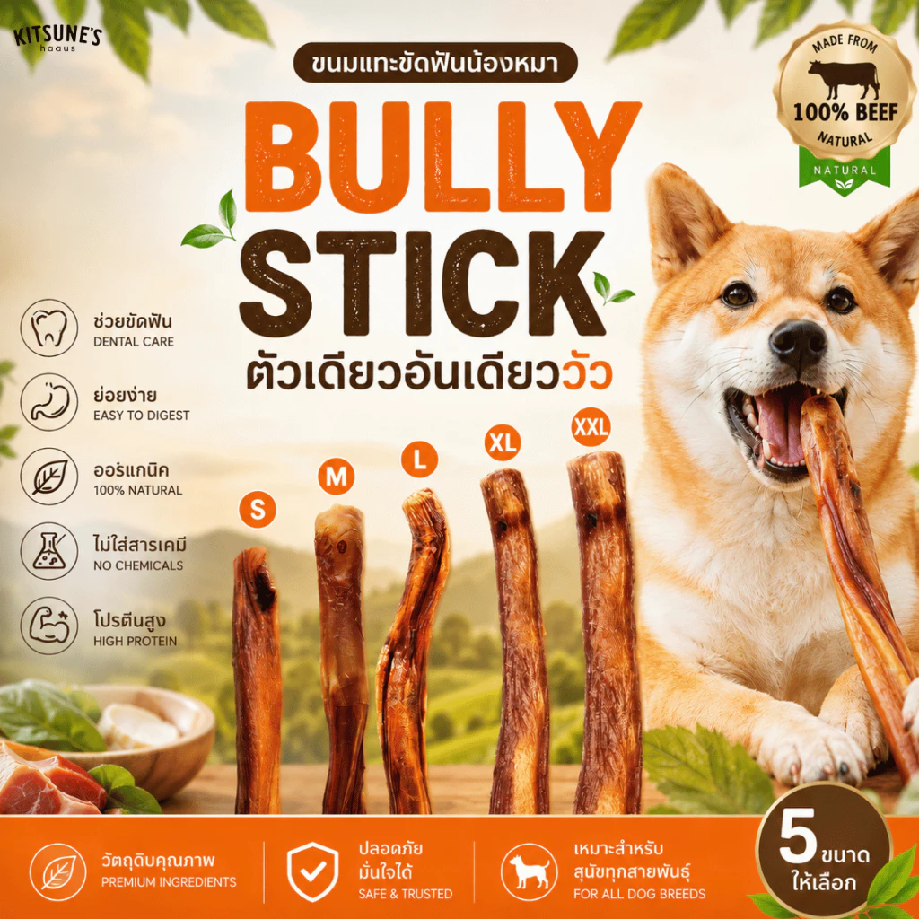 (อบใหม่ หอมๆ🔥พร้อมส่ง) ตัวเดียวอันเดียววัว - Bully Stick ขนมขัดฟันสุนัข ขนมน้องหมา
