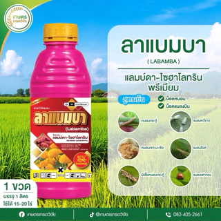 ไล่ก้มรวงทอง (1 ชุด 10ไร่) ครอบคลุมทุกอย่างในช่วง รับท้อง โผล่เผล่ และไล้ก้ม ล่มเบ่งเร่งเต่ง แมลง เชื้อราครบจบ