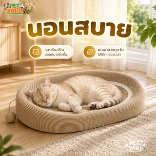 🐱 ฝนเล็บแมวทนข่วน ที่ลับเล็บแมว ลับเล็บแมวพร้อมลูกบอล กระดาษลูกฟูกความหนาแน่นสูง ทนต่อการสึกหรอ