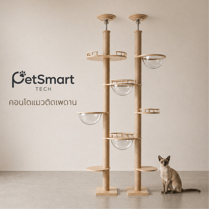 [PetSmart] คอนโดแมวทรงสูง ยึดเพดาน 2.6-3.2m ไม่ต้องเจาะผนัง ไม้แท้ แข็งแรง DIY ได้