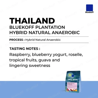 Bluekoff เมล็ดกาแฟ ไทย อราบิก้า 100% Bluekoff Plantation: Hybrid Anaerobic (1 ถุง บรรจุ 100 กรัม)