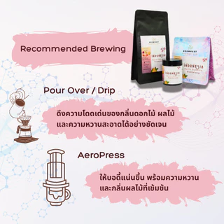 เมล็ดกาแฟคั่วอ่อน Indonesia North Sumatra Sidikalang Natural | Long Berry - BREWNEST Roaster Lab