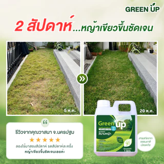 Green up บำรุงหญ้า เร่งหญ้าเขียว แก้หญ้าเหลือง ปุ๋ยสนามหญ้า สำหรับหญ้าทุกสายพันธุ์ ใบเขียว แข็งแรง