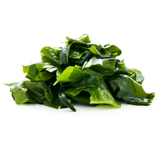 สาหร่ายวากาเมะ 20g 50g 100g ใหม่ต้นฤดู ใบยอดอ่อน เกรดA+ ไม่ผสมก้านแข็ง มีแต่ใบ Wakame 裙带菜